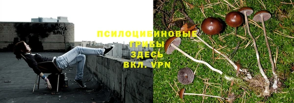 стаф Армянск