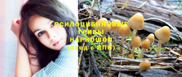 ECSTASY Аркадак