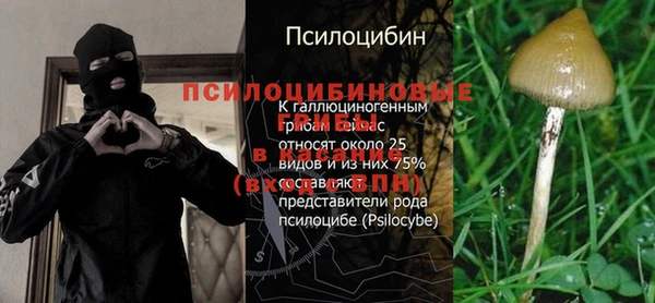 ECSTASY Аркадак